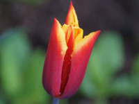 image04