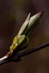 image01