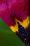 image02