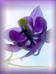 image03