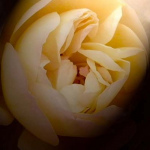 image04