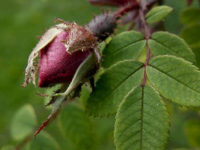 image06