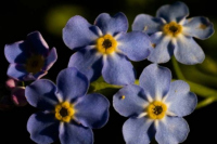 image07