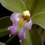 image11