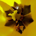 image23