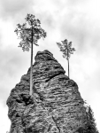 Einsam an der Spitze
