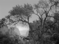 Walter-1-Zion-National-Park