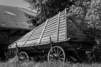 1-Walter-Alter-Wagen