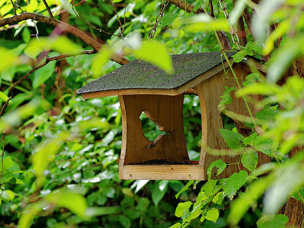 Vogelhäuschen im Grünen