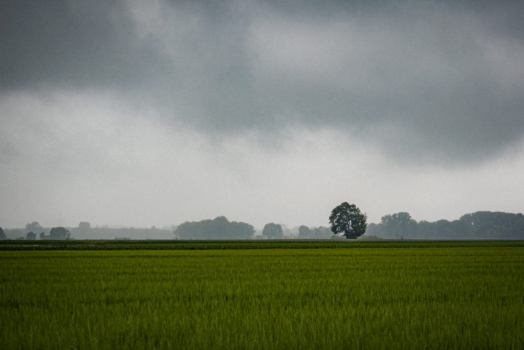 Sommerregen