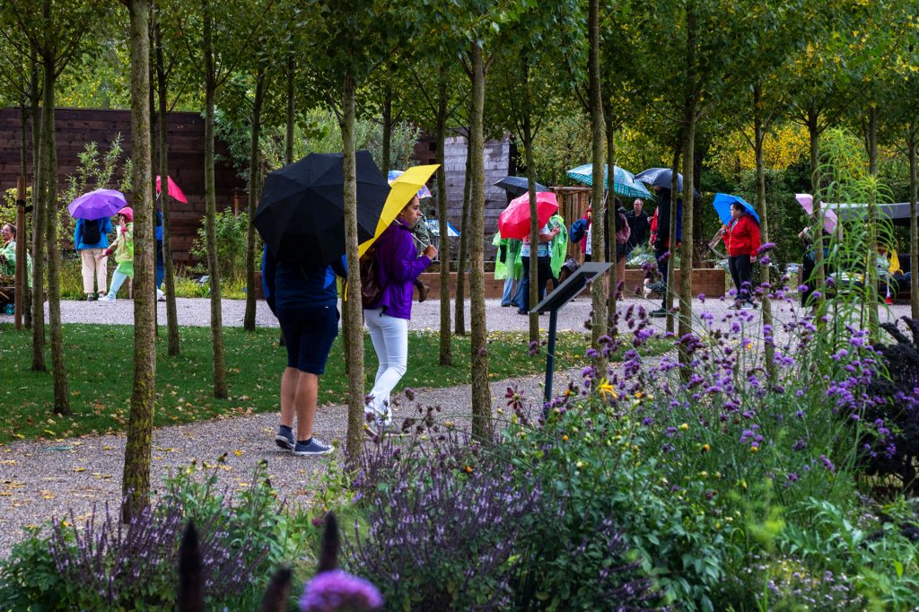 in der Gartenschau