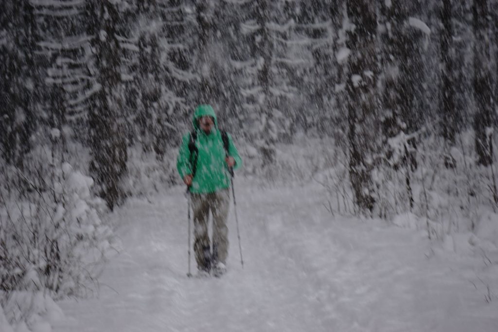 Schnee-Wanderer