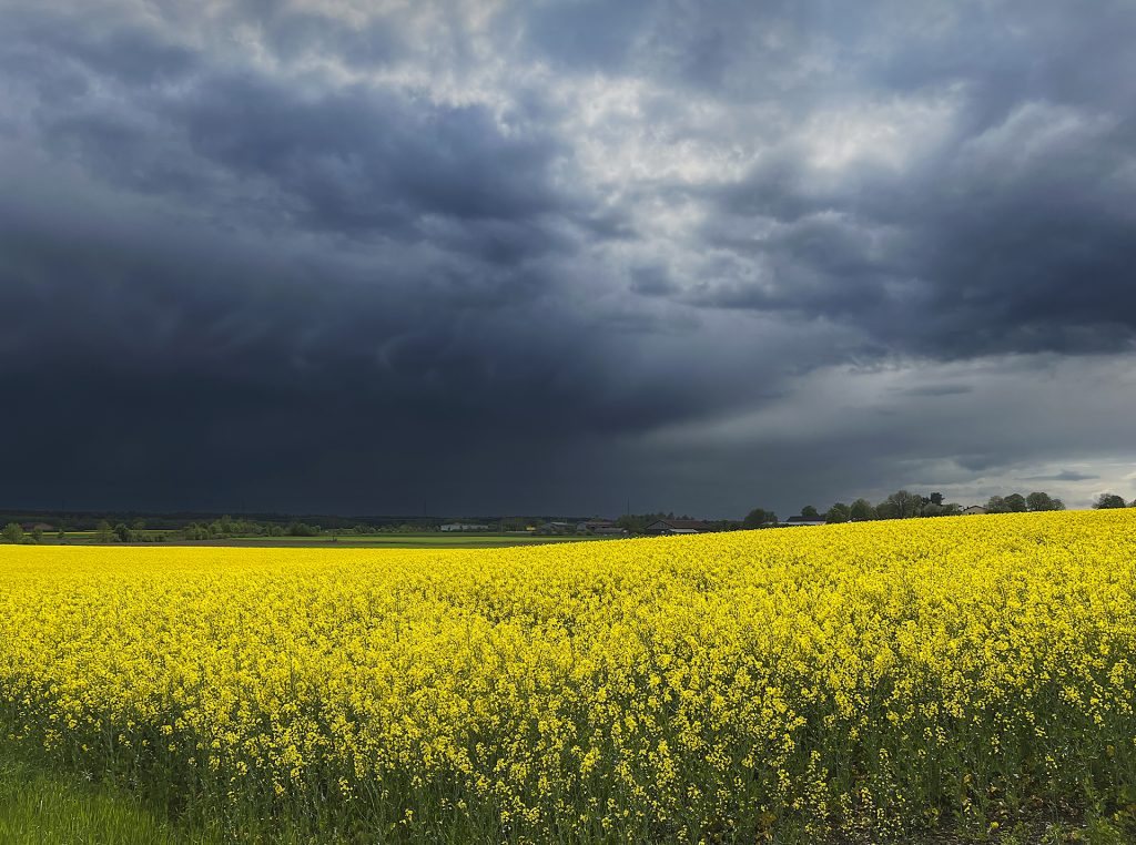 Unwetter zieht auf