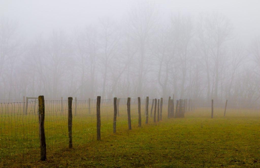 Zaun im Nebel