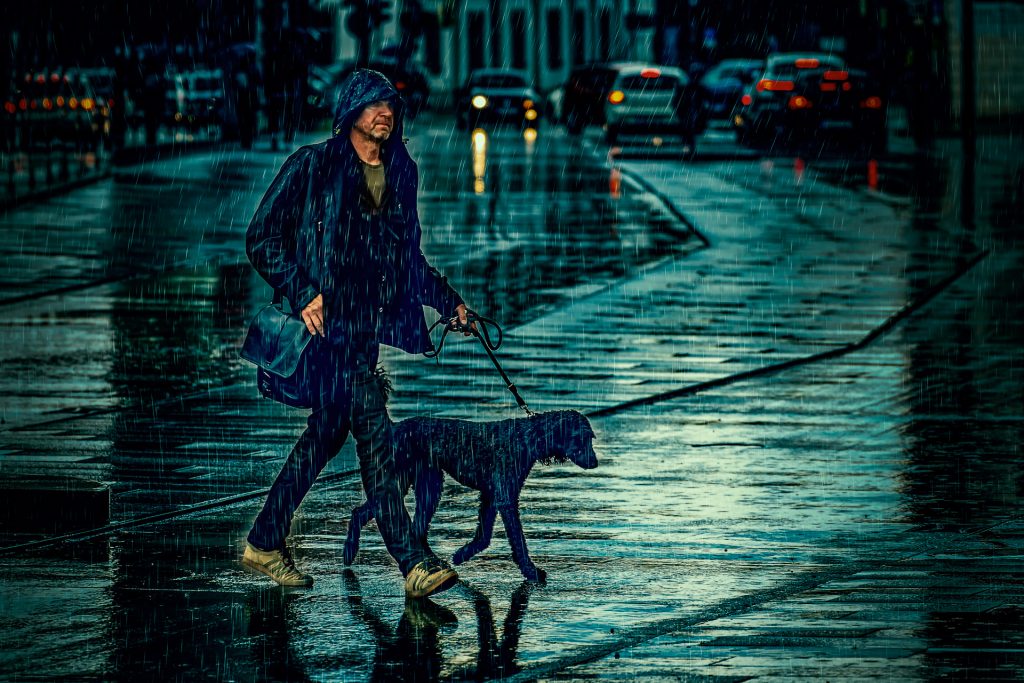 Hundewetter