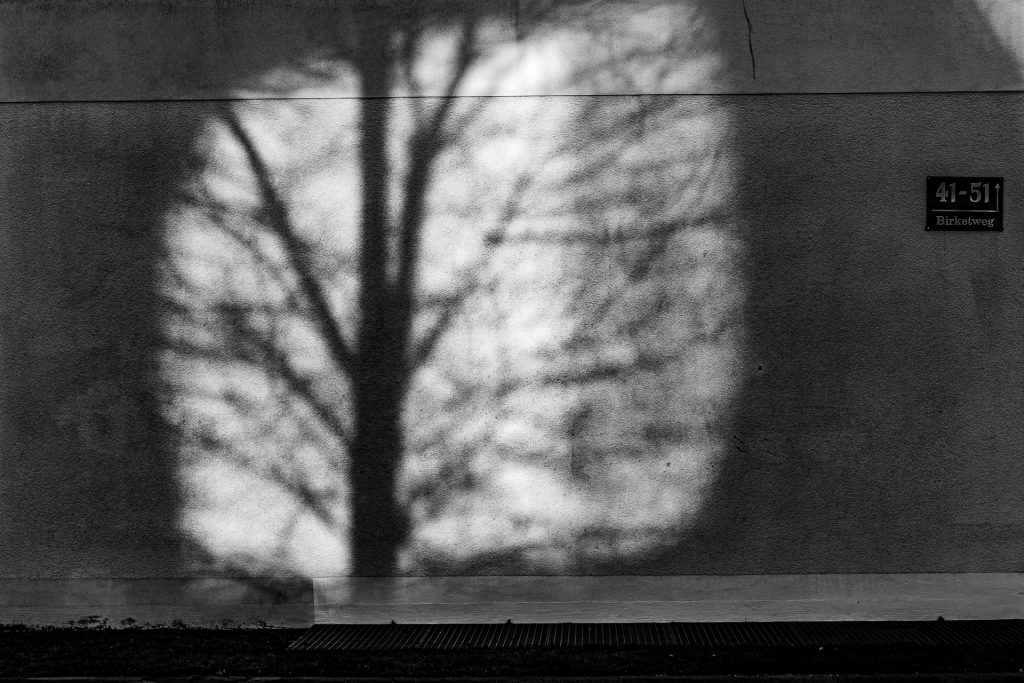 Baum