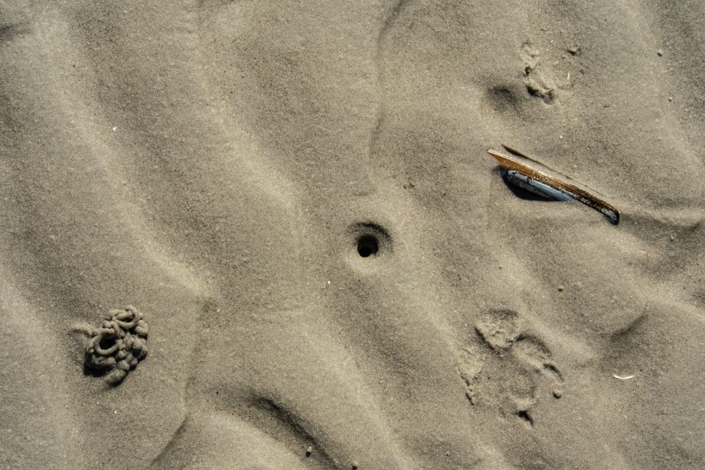 im Sand