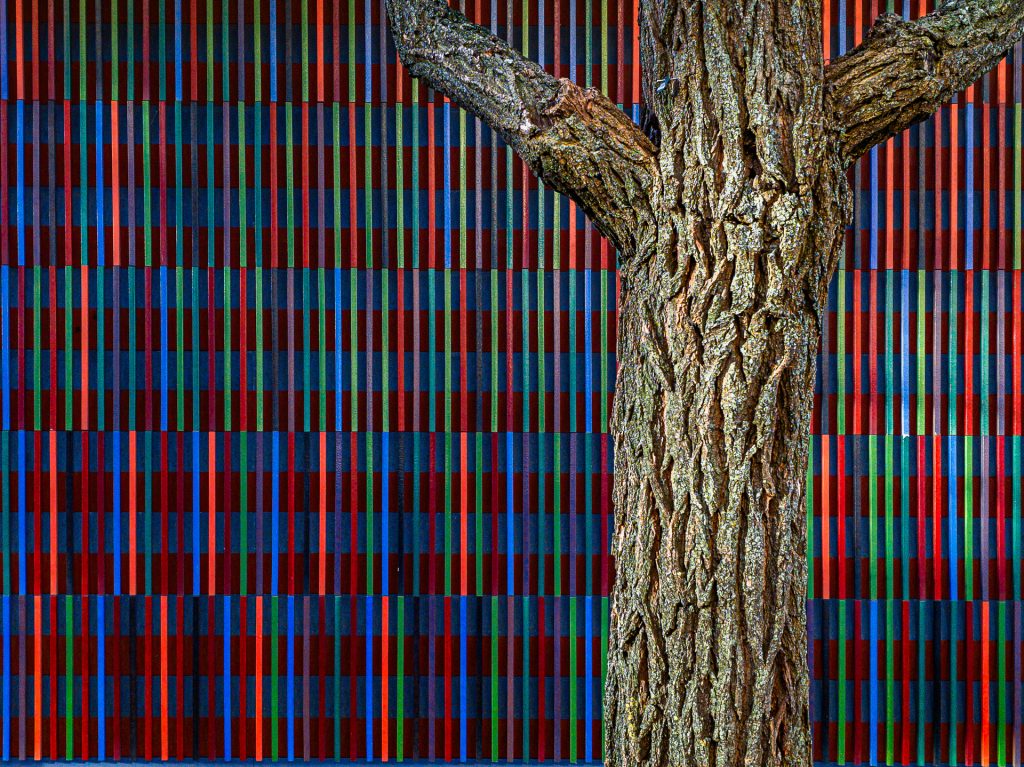 Brandhorst-Baum