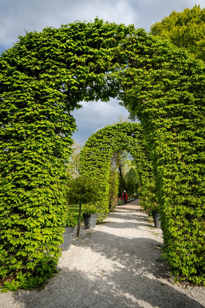 im Rosengarten
