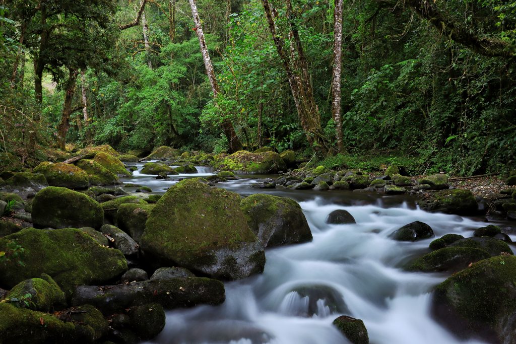 Rio Savegre 2