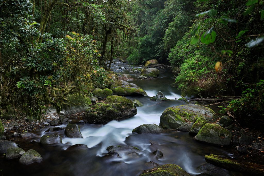 Rio Savegre 3