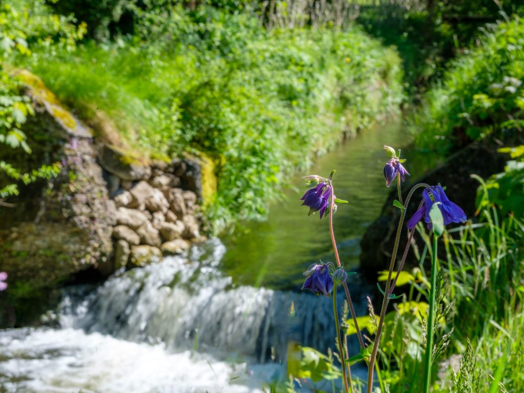 Wasserfall