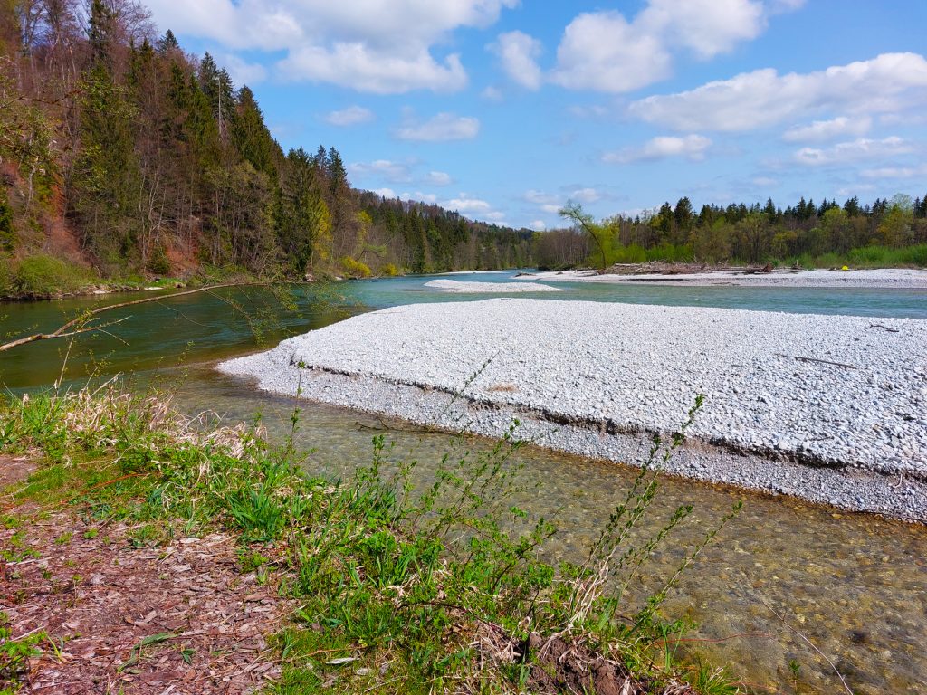 Kiesbank auf der Isar