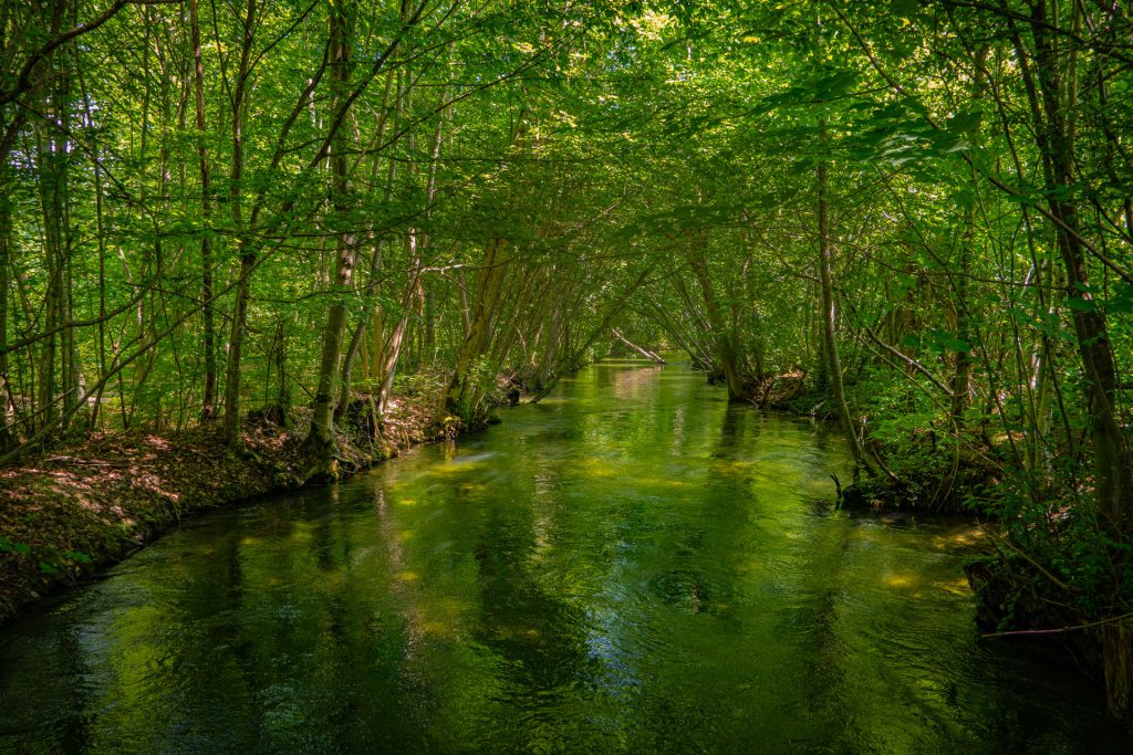 an der Alz