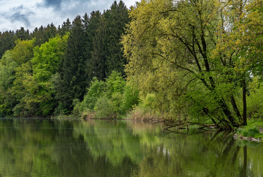 Spiegelung