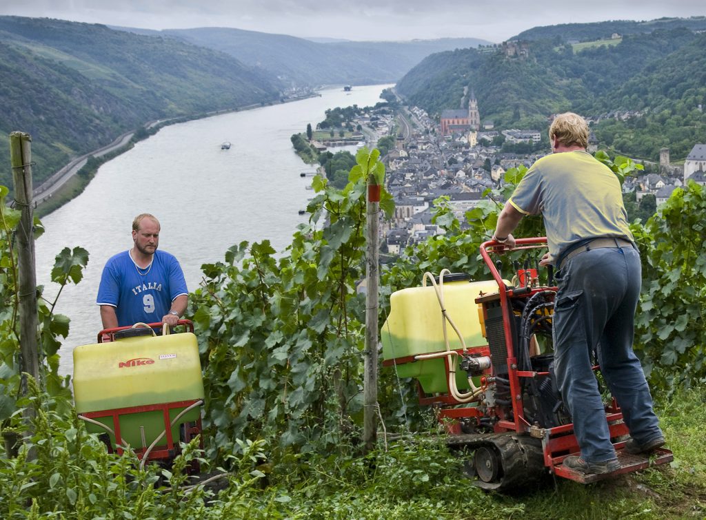 Weinbergsarbeit am Steilhang