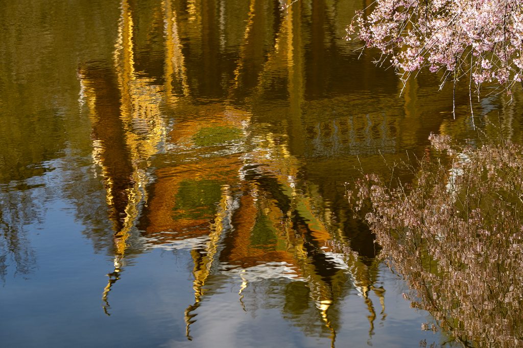 Westpark Spiegelung