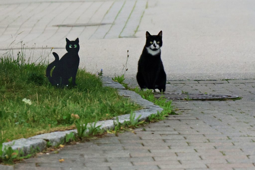 Schwaben