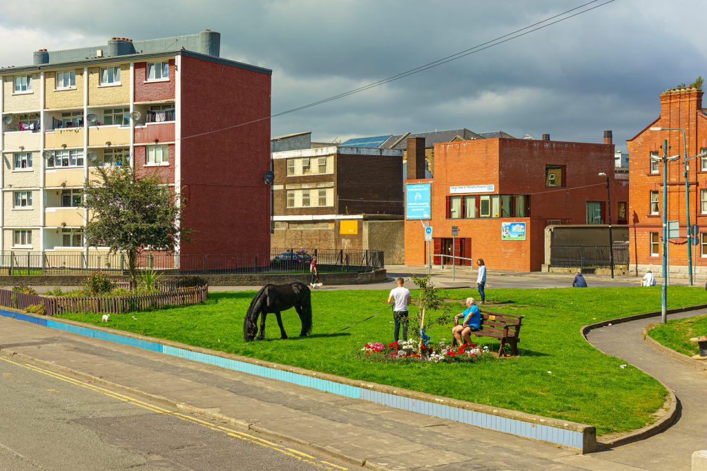 Treffpunkt zum Gassigehen mitten in Dublin mit Hunden und einem Pferd(!) an der Leine.