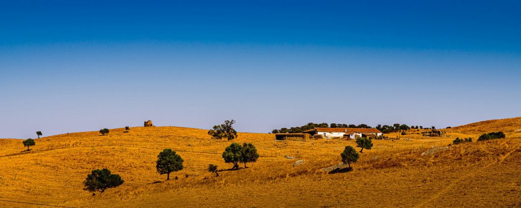 Alentejo - weit und trocken