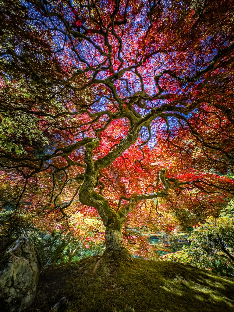 Herbst