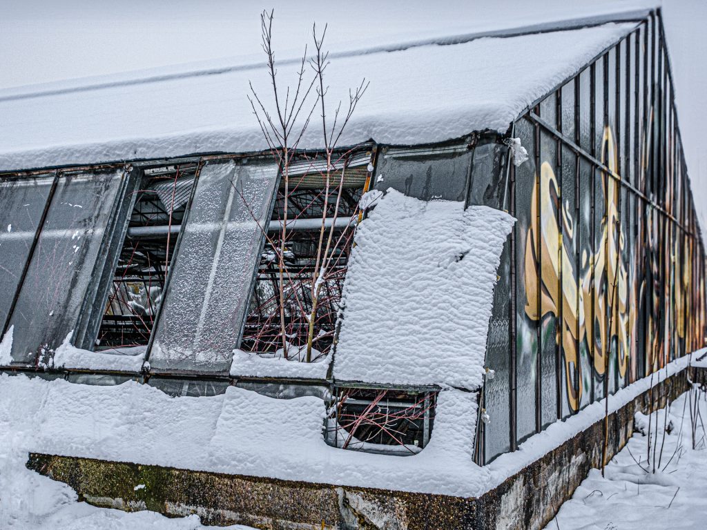 Gewächshaus im Schnee V2