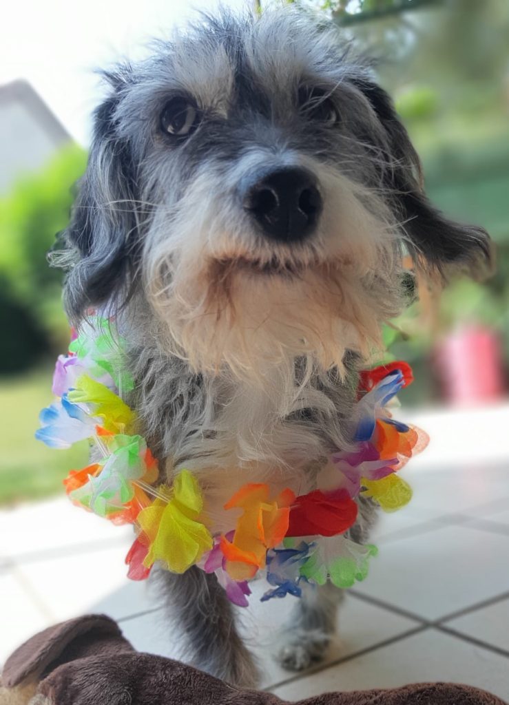 Walli hat Geburtstag