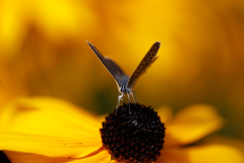 Abflugbereit