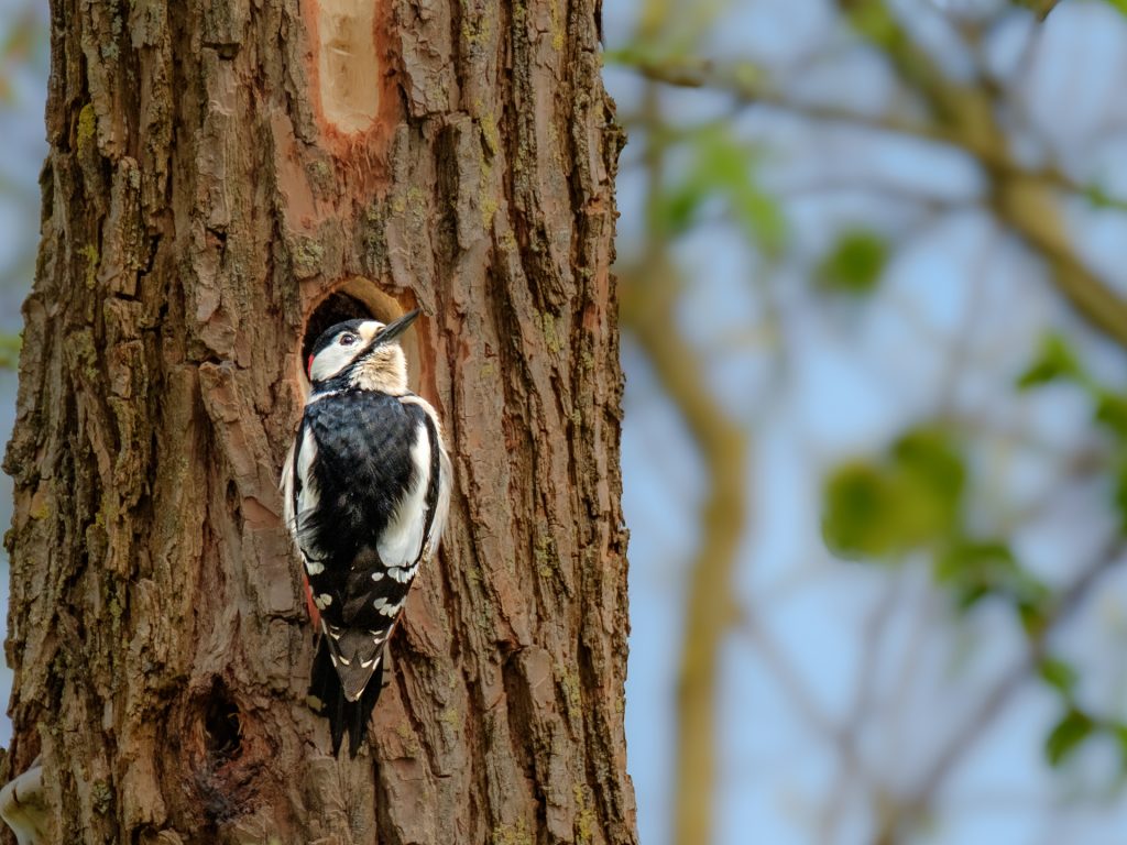 Gibt es heute noch Regen?