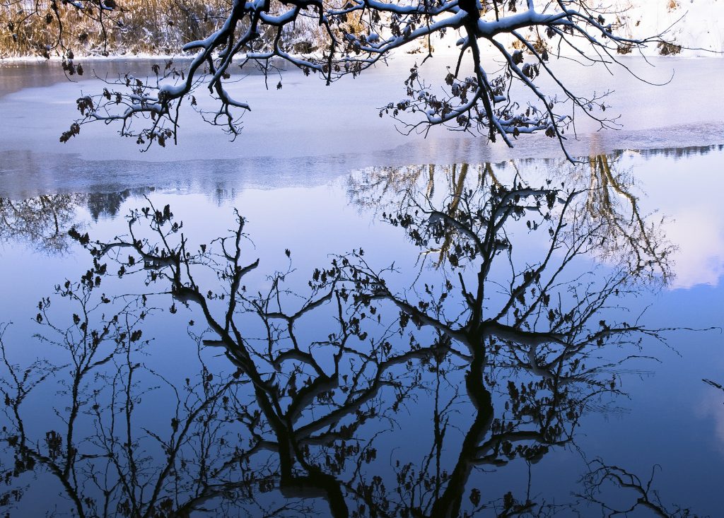 Spiegelung