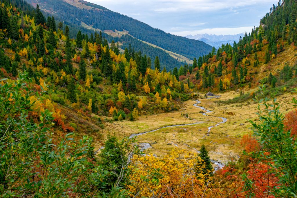Herbst im Gebirge