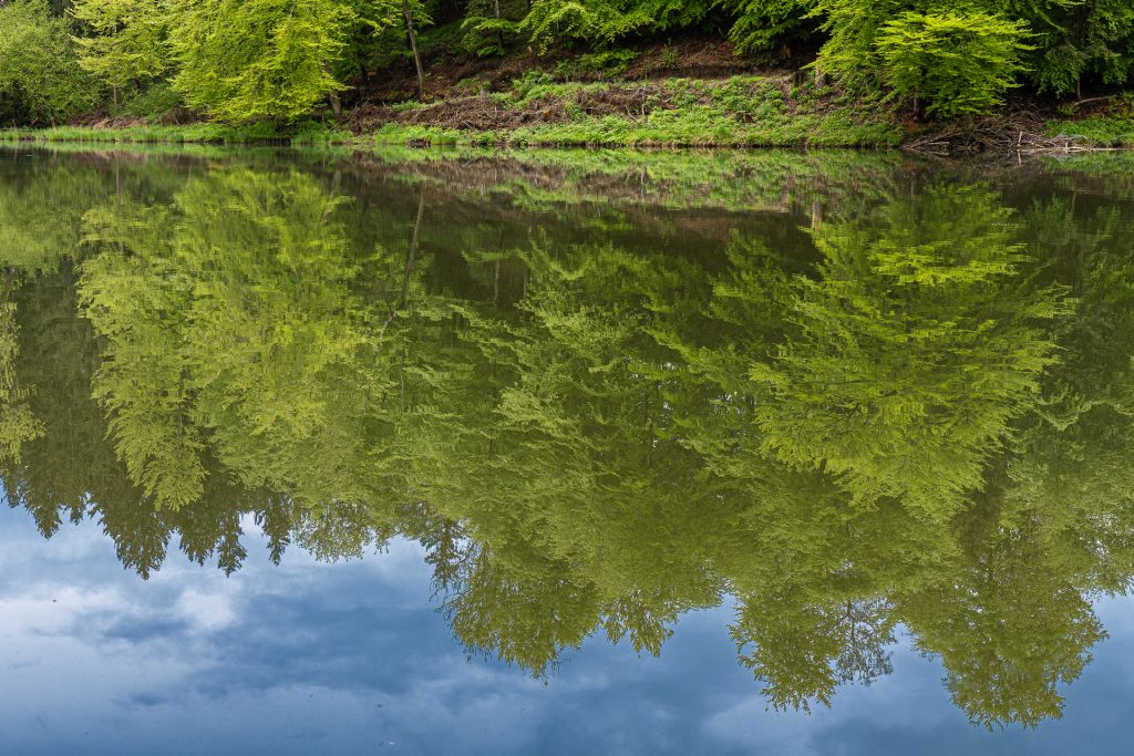 Spiegelung