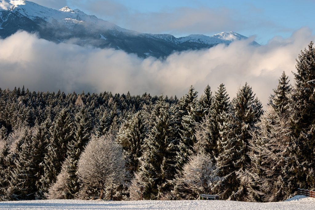 Winterwald