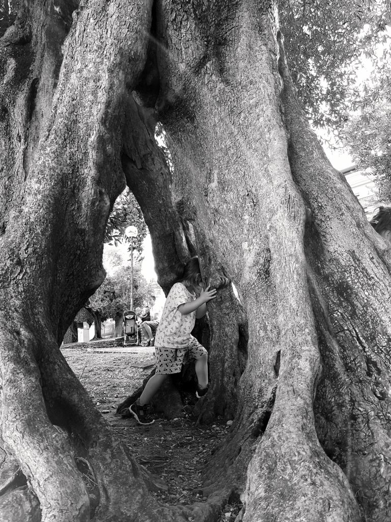 Mit dem Kopf durch den Baum