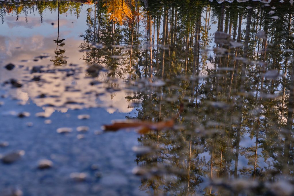 Spiegelung