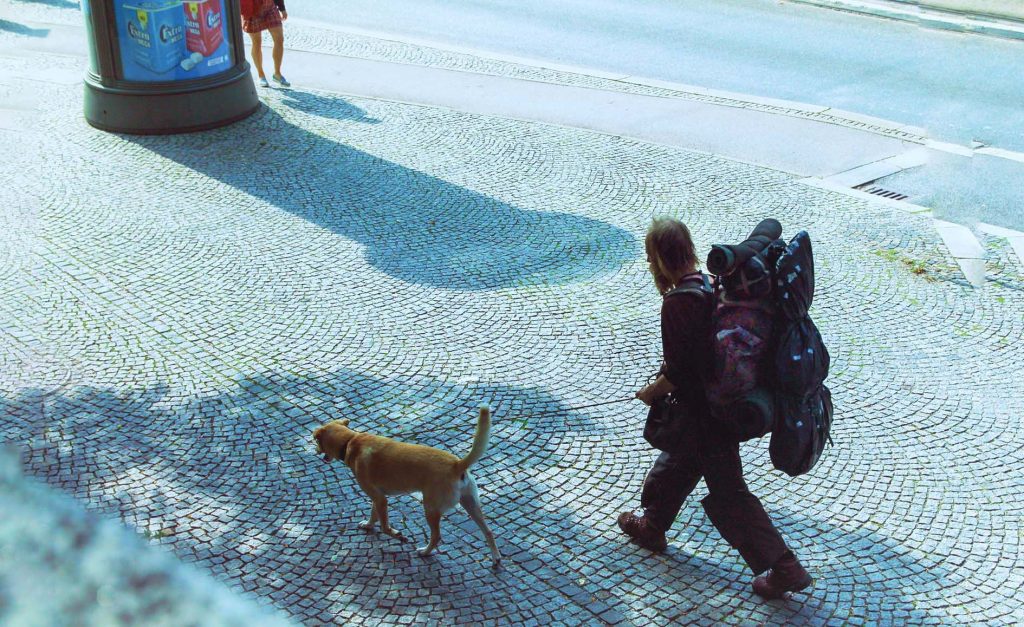 sucht einen Schlafplatz