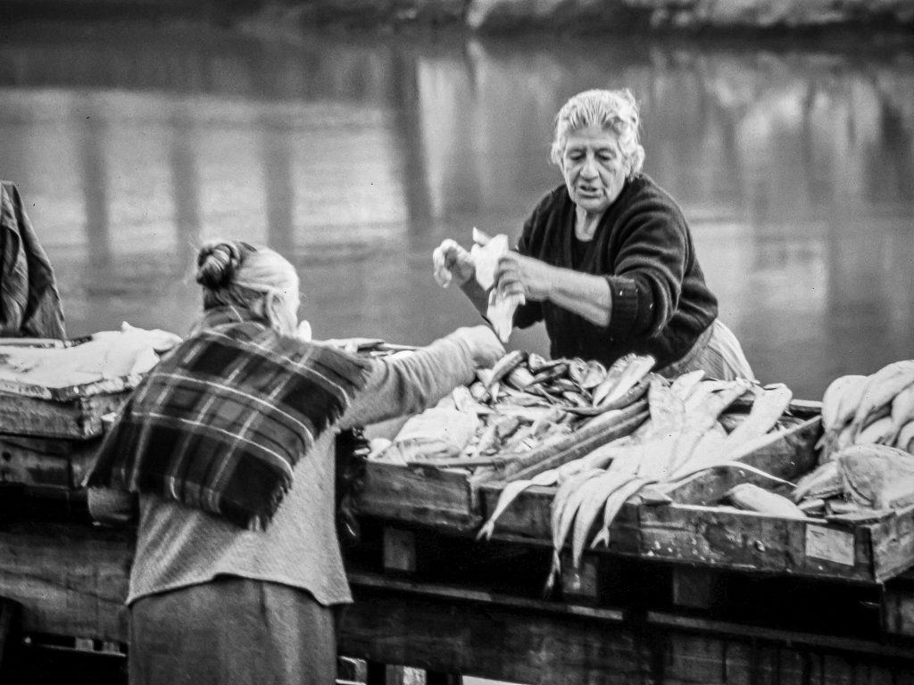 Frische Fische