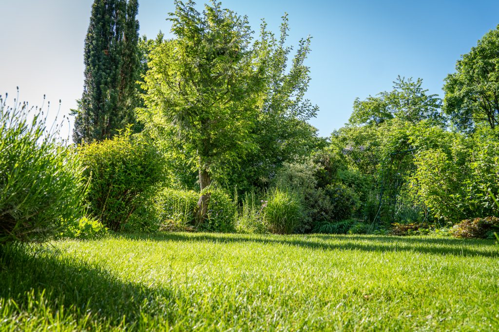 Garten